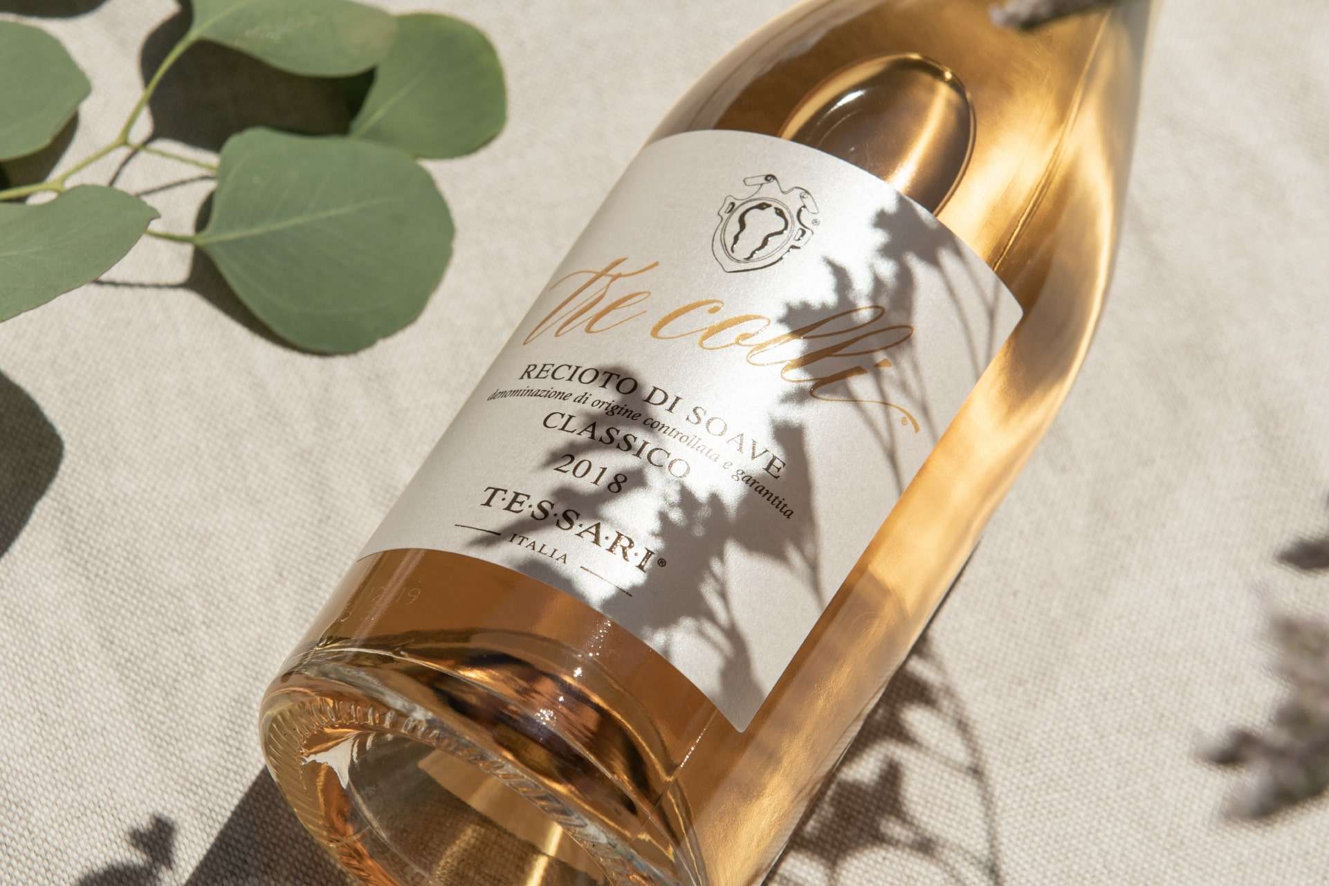 Shooting vini Cantina tessari